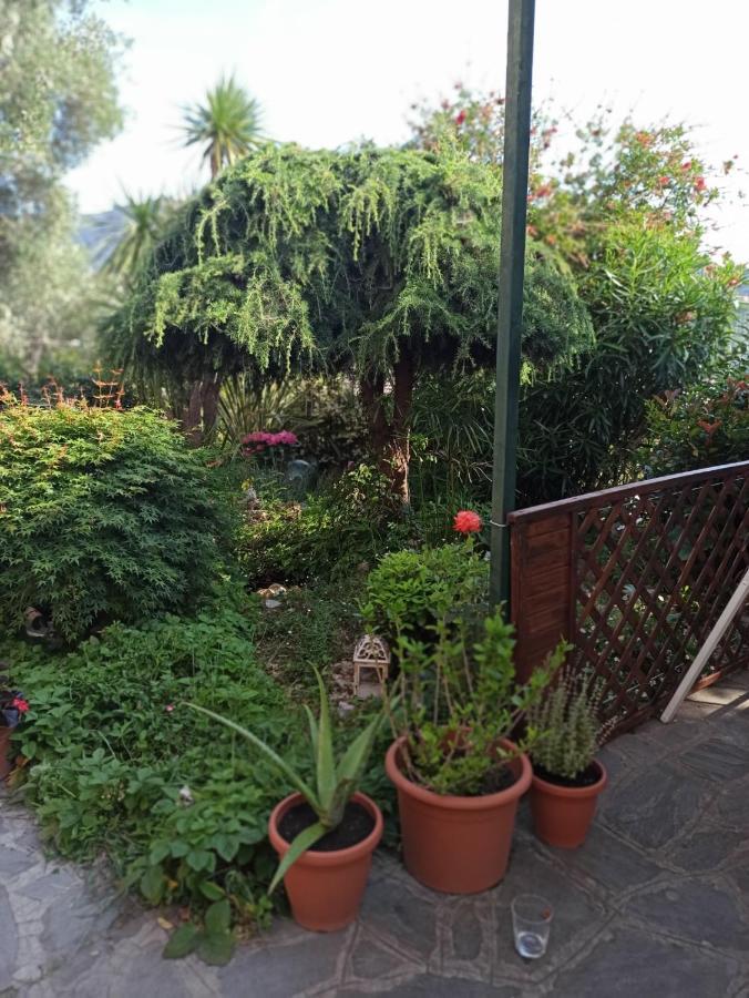 Il Glicine Cozy Appartamnent, Near Sestri Levante Between Cinque Terre E Portofino Casarza Ligure Exterior foto