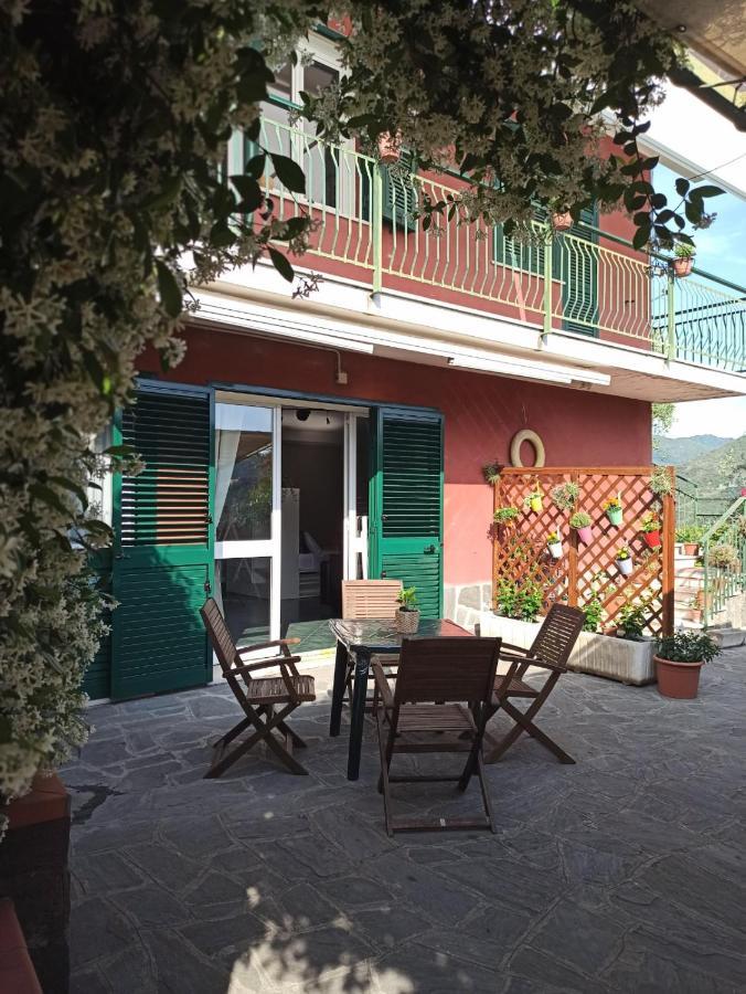Il Glicine Cozy Appartamnent, Near Sestri Levante Between Cinque Terre E Portofino Casarza Ligure Exterior foto