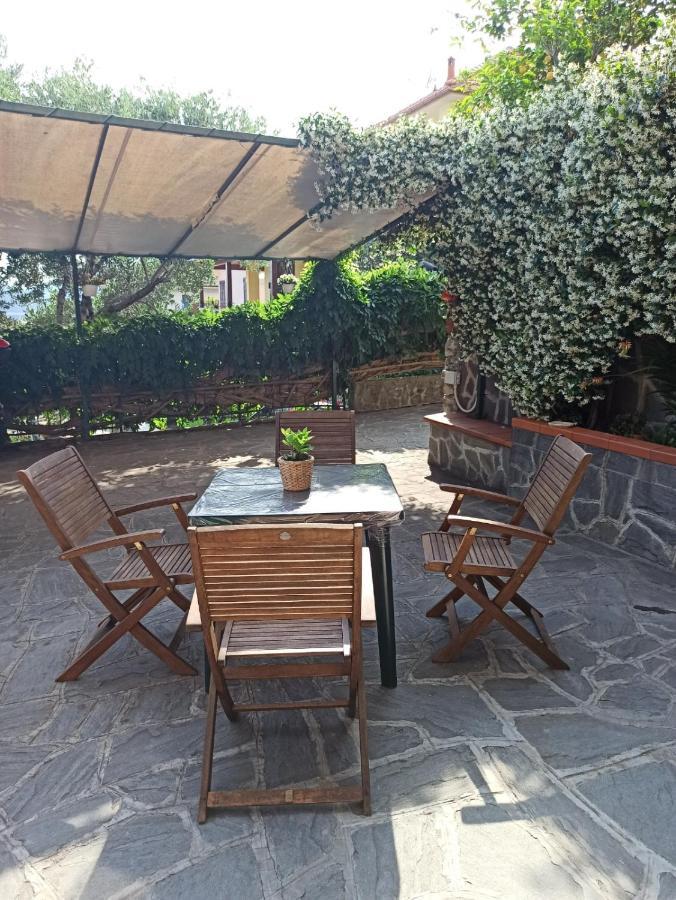 Il Glicine Cozy Appartamnent, Near Sestri Levante Between Cinque Terre E Portofino Casarza Ligure Exterior foto
