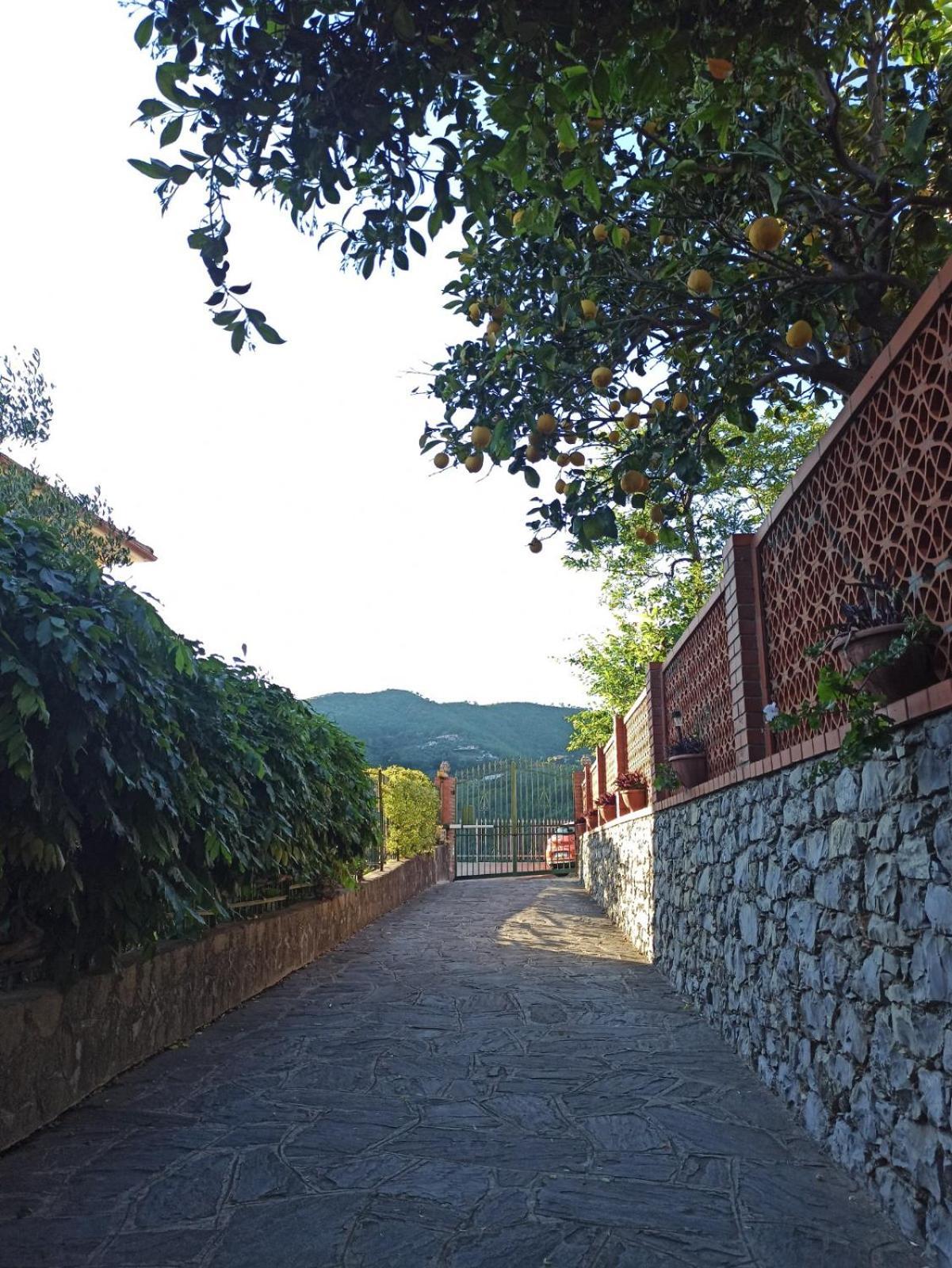 Il Glicine Cozy Appartamnent, Near Sestri Levante Between Cinque Terre E Portofino Casarza Ligure Exterior foto